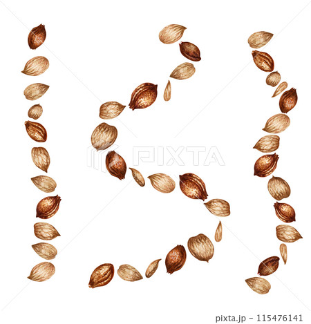 Apricot kernels and seeds. Watercolor illustration for the design of templates for labels, banners, menus, invitations, wallpapers, advertising of apricot oil in medicine, cosmetology and cooking 115476141