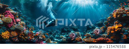 Selective focus of underwater photography, divers exploring colorful coral reefs and marine life. 115476588