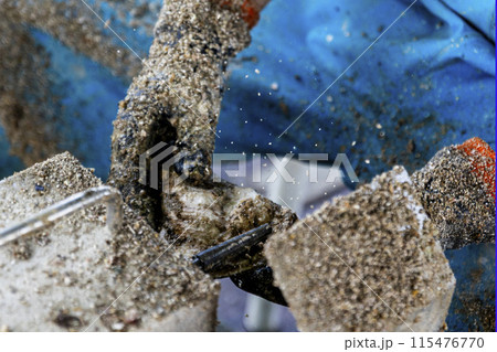 漁師が牡蠣の作業をするところ 漁師が牡蠣の作業をするところ 115476770