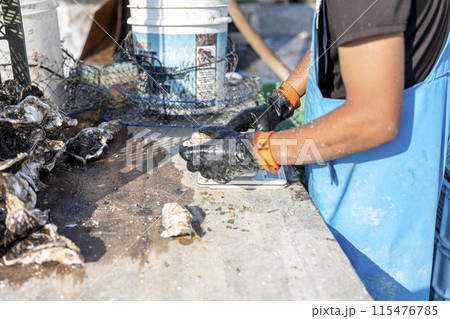 漁師が牡蠣の作業をするところ 115476785