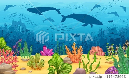 Underwater game landscape with whale silhouettes, corals and algae seaweeds, manta, dolphins, fish shoal shadows. Vector background with colorful ocean bottom, sea vegetation and animals biodiversity 115478668