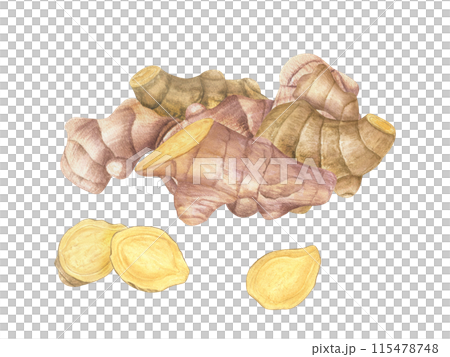Ginger root heap. Whole and slices ginger. Watercolor illustration illustration of raw seasoning. Natural organic product for recipe, package. For treating colds, strengthening the immune system 115478748