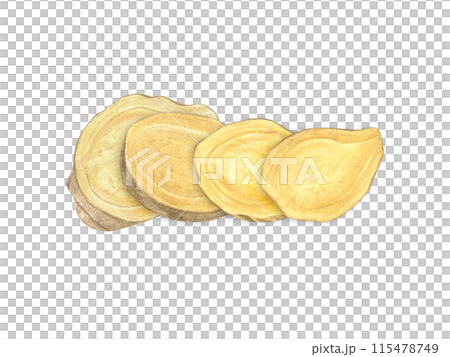 Ginger root slices lying on top of each other. Watercolor illustration illustration of raw seasoning. Natural organic product for recipe, package. For treating colds, strengthening the immune system 115478749