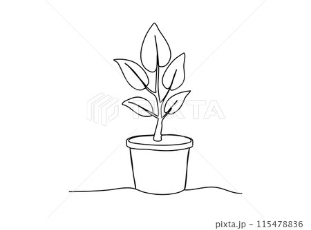 Plant in a pot, one line drawing vector illustration. 115478836