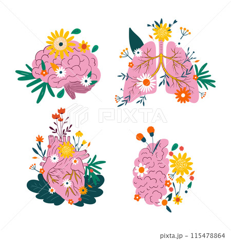 Cartoon human organs with flowers in flat style brain lungs heart health healthcare symbols Cartoon human organs with flowers in flat style brain lungs heart health healthcare symbols 115478864