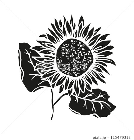 Sunflower hand drawn illustration silhouette for design for laser cut. Vector doodle floral elements Sunflower hand drawn illustration silhouette for design for laser cut. Vector doodle floral elements 115479312