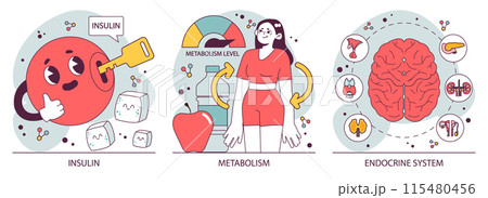 Endocrine system organs and disease set. Human glands function. Pituitary, adrenal and thyroid gland. Human hormones secretion and. balance. Metabolism regulation. Flat vector illustration 115480456