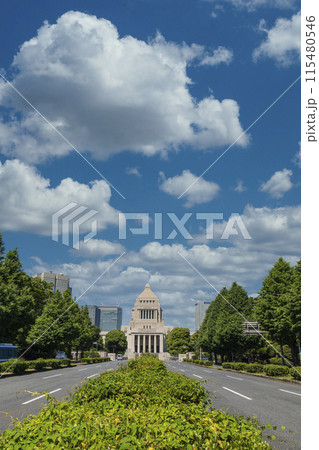 「東京都」国会議事堂　空合成 115480546