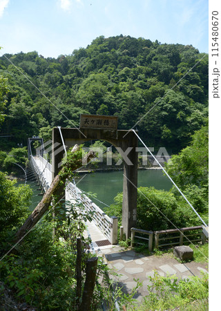 宇治観光　宇治川の天ヶ瀬吊橋　京都府宇治市 115480670