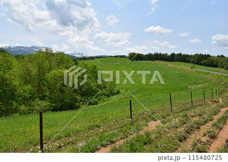 月山高原牧場 最高の眺め 山形県 115480725