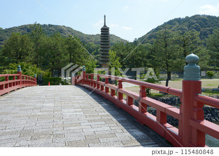 宇治観光　宇治川の朝霧橋　京都府宇治市 115480848