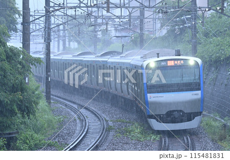 雨の中を走る相鉄11000系 雨の中を走る相鉄11000系 115481831