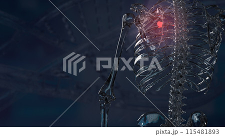 The scapula or shoulder blade for Backache and sci concept 3d rendering. 115481893