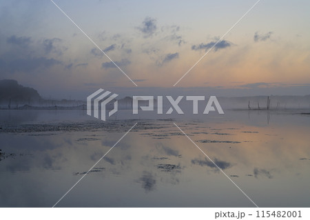 朝日に染まる湖面 115482001