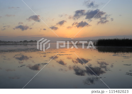 朝日に染まる湖面 朝日に染まる湖面 115482023