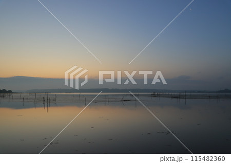 朝焼けの霧立つ沼の朝 朝焼けの霧立つ沼の朝 115482360
