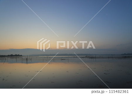朝焼けの霧立つ沼の朝 朝焼けの霧立つ沼の朝 115482361