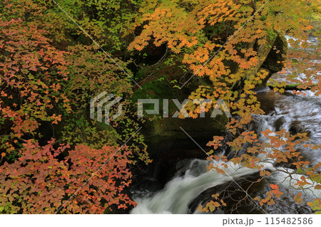 紅葉のある風景 115482586