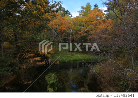 紅葉のある風景 紅葉のある風景 115482641