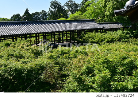 東福寺 115482724