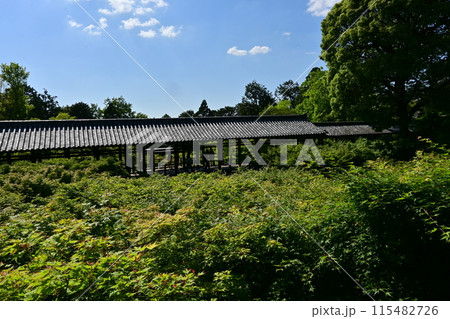 東福寺 115482726