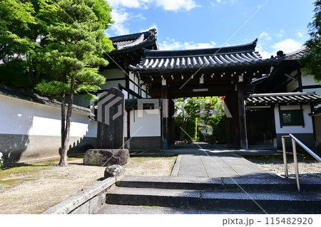 東福寺 東福寺 115482920