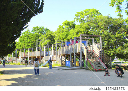 大泉緑地（冒険ランド）／大阪府堺市北区金岡町 115483278