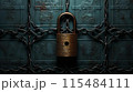Detailed image of sturdy padlock for security symbol. 115484111
