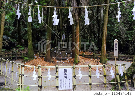 天の平瓮投げ（あめのひらかなげ） 115484142