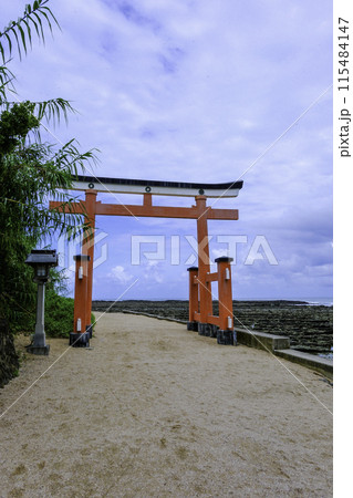 青島神社鳥居（縦） 115484147