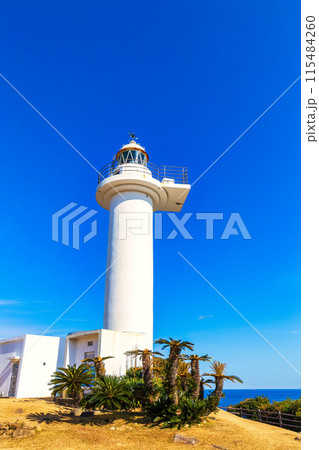 梶取崎 (1月 晴れ) 梶取崎 (1月 晴れ) 115484260