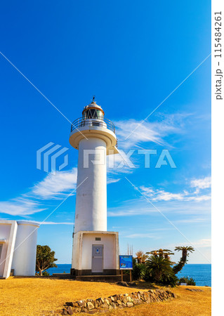 梶取崎　(1月　晴れ) 115484261