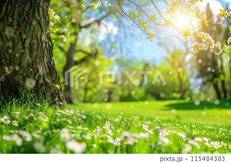 Blooming Spring Meadow Under Blue Sky 115484383