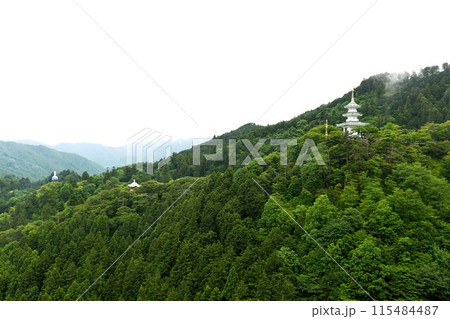 【飯能市　旧名栗村村長平沼弥太郎が開基「鳥居観音」救世大観音から玄奘三蔵塔・大鐘楼・平和観音を望む】 115484487