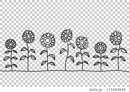 向日葵線描明信片 115484646