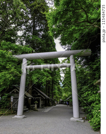 天岩戸神社西本宮鳥居と参道(縦) 天岩戸神社西本宮鳥居と参道(縦) 115484735