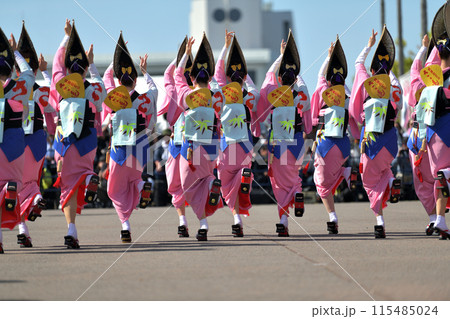 阿波踊り　徳島　春の祭典「はなはるフェスタ」女踊りの有名連 115485024