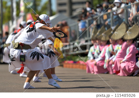 阿波踊り　徳島の春の祭典「はなはるフェスタ」有名連の男踊り 115485026