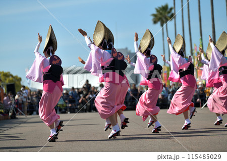 阿波踊り 徳島 春の祭典「はなはるフェスタ」女踊りの有名連 阿波踊り 徳島 春の祭典「はなはるフェスタ」女踊りの有名連 115485029