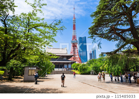 増上寺大殿（本堂）と東京タワー 115485033