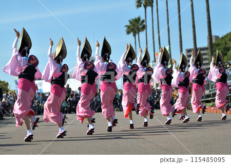 阿波踊り　徳島　春の祭典「はなはるフェスタ」女踊りの有名連 115485095