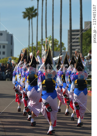 阿波踊り　徳島　春の祭典「はなはるフェスタ」女踊りの有名連 115485107