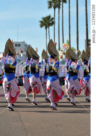 阿波踊り　徳島　春の祭典「はなはるフェスタ」女踊りの有名連 115485108
