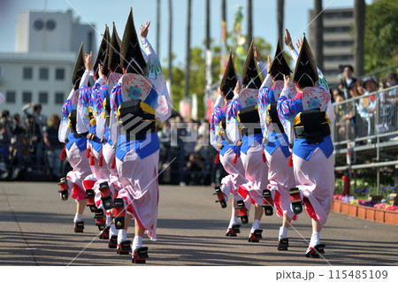 阿波踊り　徳島　春の祭典「はなはるフェスタ」女踊りの有名連 115485109