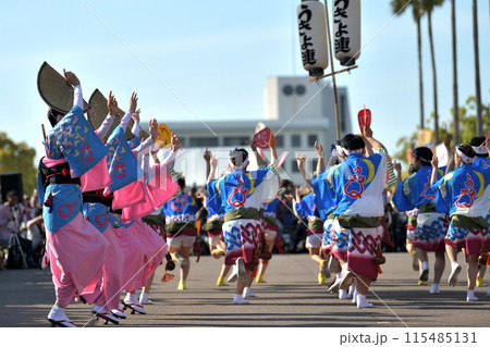 阿波踊り　春の祭典「はなはるフェスタ」有名連の演舞 115485131