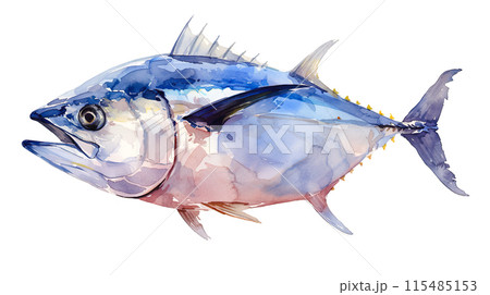 リアルなマグロの水彩イラスト リアルなマグロの水彩イラスト 115485153