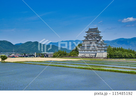 新緑と水田と麦秋の勝山城 115485192