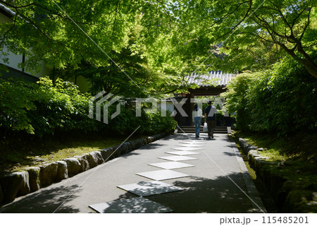 最勝院　参道と山門　京都市左京区 115485201