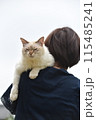 子猫を背負う女性 115485241