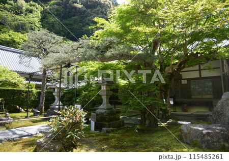 最勝院 縁結びの松 京都市左京区 最勝院 縁結びの松 京都市左京区 115485261